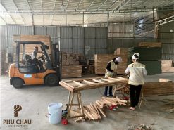 Cửa gỗ công nghiệp cho dự án chung cư